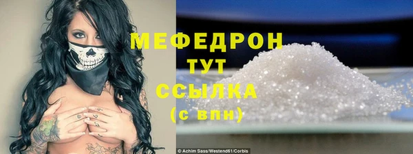 крисы Няндома