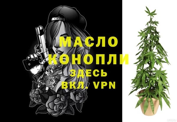 крисы Няндома