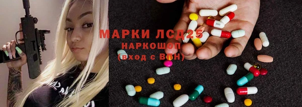 крисы Няндома