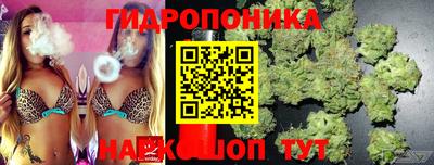 герыч Аргун