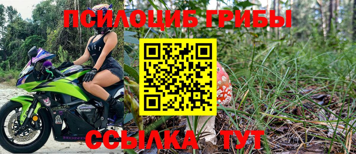 Галлюциногенные грибы прущие грибы  купить наркоту  Галлюциногенные грибы GOLDEN TEACHER  Мичуринск 