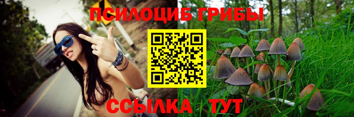 Галлюциногенные грибы Psilocybine cubensis Мичуринск