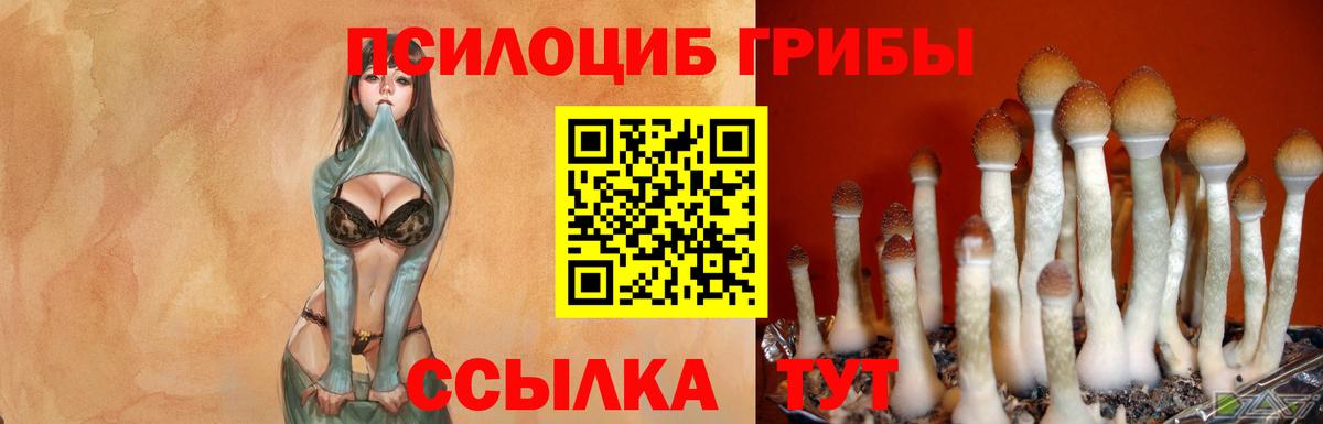 Галлюциногенные грибы Magic Shrooms  Вход с VPN  купить   Мичуринск 
